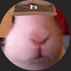 Profile Picture of Everett Matthews430 (@@steelybird25354) on Tiktok