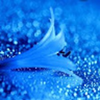 Profile Picture of Anisa Ansari (@anisa-ansari-6) on Quora