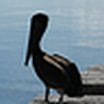 Profile Picture of taylor stevenson (@taylor_the_goon) on Flickr