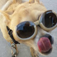 Profile Picture of Eric Rascon (@eric-rascon-5) on Quora