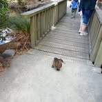 Anna Canning - Facebook Profile Picture of Anna Canning (@Annacanning2) on Facebook