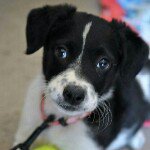 Profile Picture of Kevin Ondyak (@theondyaks) on Instagram