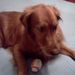 Profile Picture of Regina Atkins (@ratkins1957) on Pinterest