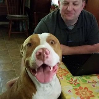 Profile Picture of Marsha Asquith (@AsquithMarsha) on Twitter