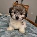 Profile Picture of Bruce Hernbroth (@bruce.hernbroth.5) on Facebook