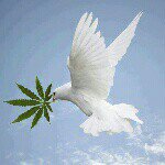 Profile Picture of kevin jamal gardner (@gardner_kevin) on Instagram