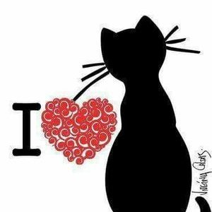 Profile Picture of Pam Chalmers (@PamChalmers2) on Twitter