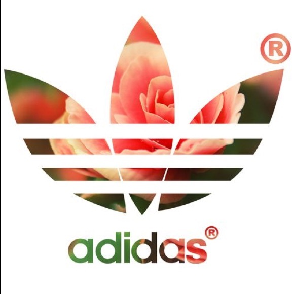 Profile Picture of Ananda Grisson (@nanda331) on Poshmark