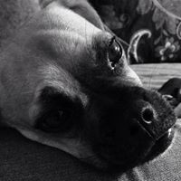 Profile Picture of Jennifer Haase (@jennifer-haase-3) on Quora