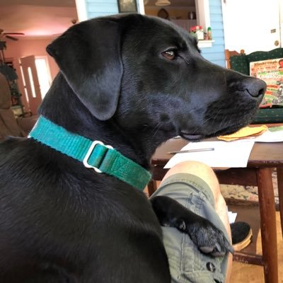 Profile Picture of Bob Jacoby (@BobJacoby5) on Twitter