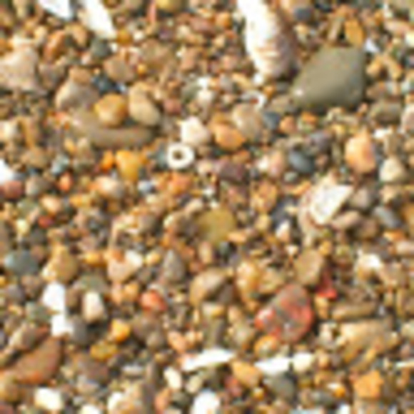 Maureen Biermeier - Poshmark Profile Picture of Maureen Biermeier (@ringx4) on Poshmark