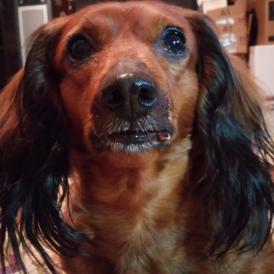 Profile Picture of Frank N'Beans Pascal (@AnaPascal13) on Twitter