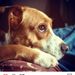 Profile Picture of Sofia correa (@sofia12345aaaaa) on Pinterest