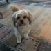Profile Picture of Bobbie Robbins (@bobbie.robbins.963) on Facebook