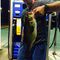 Profile Picture of Joe Piro (@joe.piro.180) on Facebook