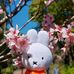 Profile Picture of Joanna Chow (@joanna.chow.794) on Facebook