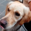 Profile Picture of Cecilia Mancusi (@@ceciliamancusi) on Tiktok