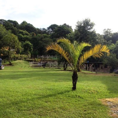 Profile Picture of Wilbert Torres (@WilbTor5) on Twitter