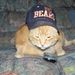 Profile Picture of Greg Klug (@grk355) on Pinterest