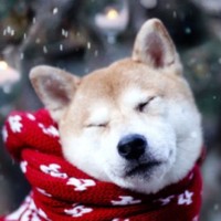 Profile Picture of Christopher Wright (@christopher-wright-84) on Quora