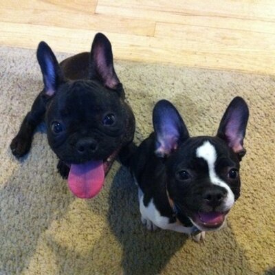 Profile Picture of Jason Weinberger (@jsonweinberger) on Twitter