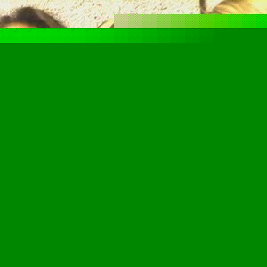 Profile Picture of Francesca Vega (@123085165) on Myspace