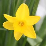 Profile Picture of Dominic Tomaz-Hull (@dom_24_photography) on Instagram