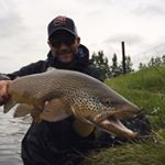 Profile Picture of Adrian Stöckenius (@stoeckenius) on Instagram