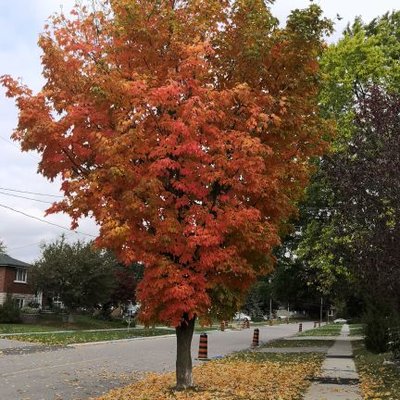 Profile Picture of Weiwei Wu (@amychencgh) on Twitter