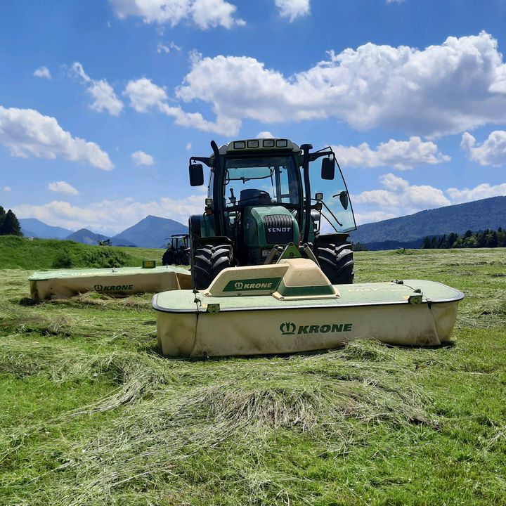 thomas.kuebler81 - Tiktok Profile Picture of thomas.kuebler81 (@thomas.kuebler81) on Tiktok