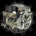 Profile Picture of David Abbuhl (@abbuhl0737) on Pinterest