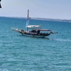 Profile Picture of davidesko2 (@davidesko2) on Tiktok