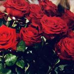 Profile Picture of Marianne Stehle-Samer (@60plusmarianne) on Instagram