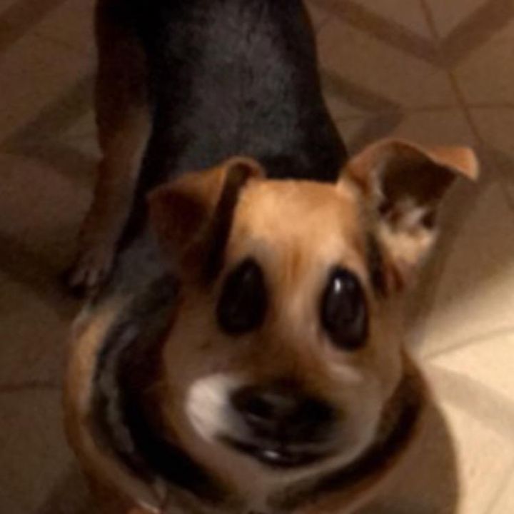Profile Picture of Chad Sells (@therealchad710) on Tiktok
