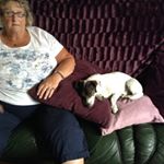 Profile Picture of Mavis Bateson (@raveinmave) on Instagram
