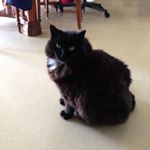 Profile Picture of Andrew S. Lay (@andrew_fundraiser) on Instagram