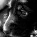 Profile Picture of June Mcgregor (@junmcgr) on Pinterest