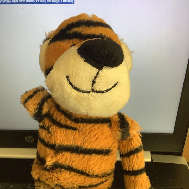 Profile Picture of Ralph (@ralph.find.a.new.home) on Tiktok