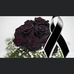 Profile Picture of Mariela Ramos Flores (@mariela.r.flores.52) on Facebook