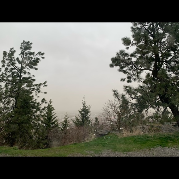 Profile Picture of Toto Laiso (@totolaiso) on Poshmark