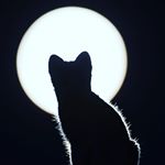 Profile Picture of Macass (@m.a.l.i.k_kyle) on Instagram