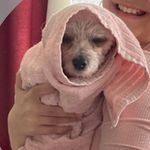 Profile Picture of Tindra Tammert (@tindratammert) on Instagram