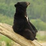 Profile Picture of Gerhard Fuchs (@gerhard.fuchs.37604) on Instagram