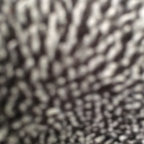 Profile Picture of Jacob Gabriel (@jacobgabriel302) on Poshmark