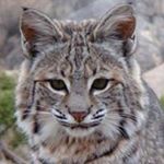 Peter Sabransky - Instagram Profile Picture of Peter Sabransky (@petersabransky) on Instagram