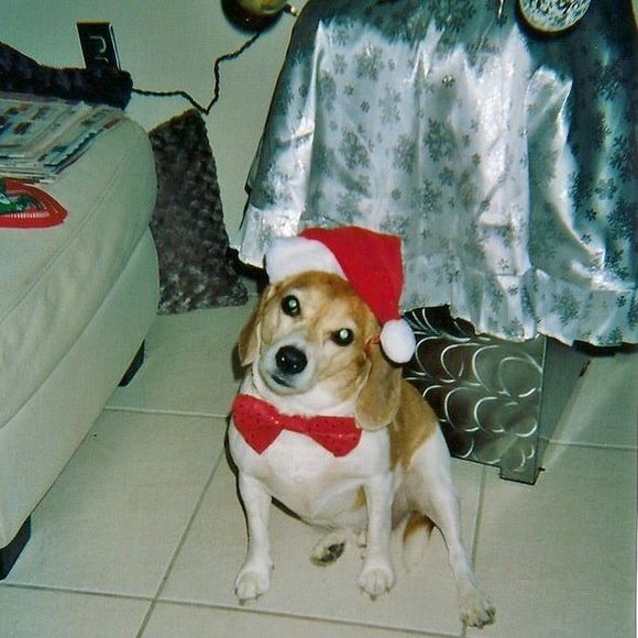 Profile Picture of Jeneen Catanzaro (@jcat0501) on Poshmark