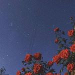 Profile Picture of $onAliKa (@krish_ty_26) on Instagram