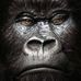 Profile Picture of Michael Crowson (@michael.crowson.56) on Facebook