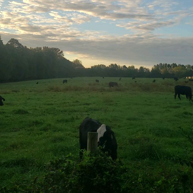 Profile Picture of graham (@noel_graham) on Tiktok