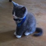 Scott Vreeland - Instagram Profile Picture of Scott Vreeland (@scotter_otter_) on Instagram